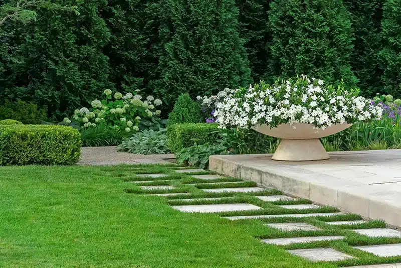A garden with white flowers and stepping stones.