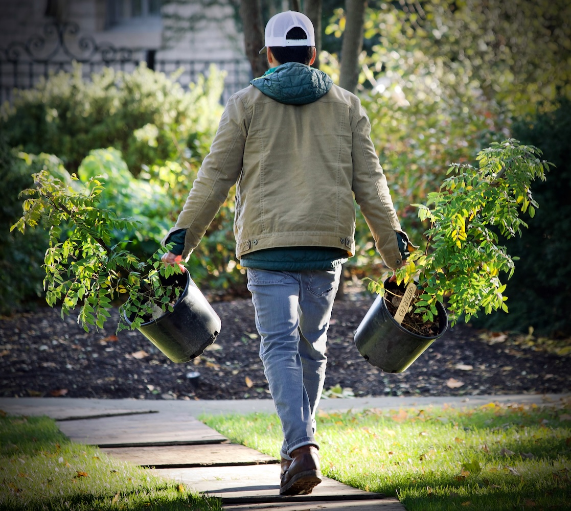 A man walks down a garden path carrying two large potted plants, one in each hand, wearing a jacket and a backward cap.