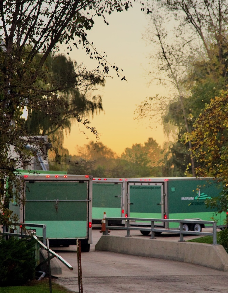 Green trucks parked at a loading dock with trees in the background at dusk.