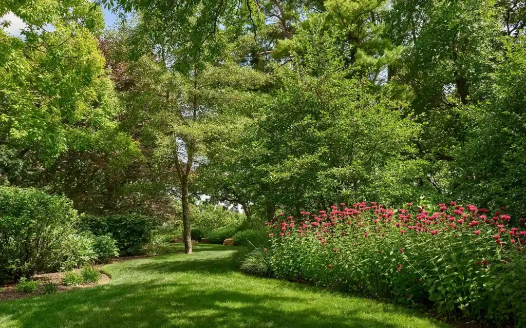 A lush garden with trees, shrubs, and a bed of blooming red flowers under a bright sky. A grassy pathway winds through the landscape.