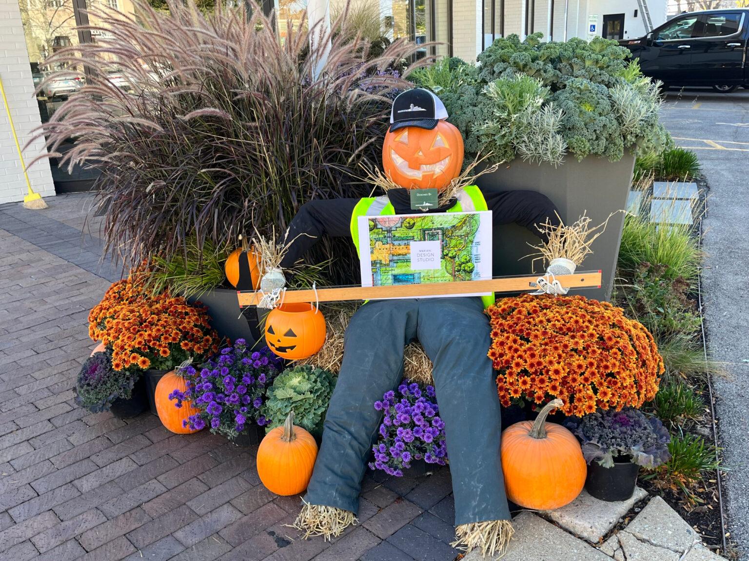 A scarecrow with a pumpkin head sits among vibrant orange and purple flowers, surrounded by pumpkins, on a brick pavement near a building.