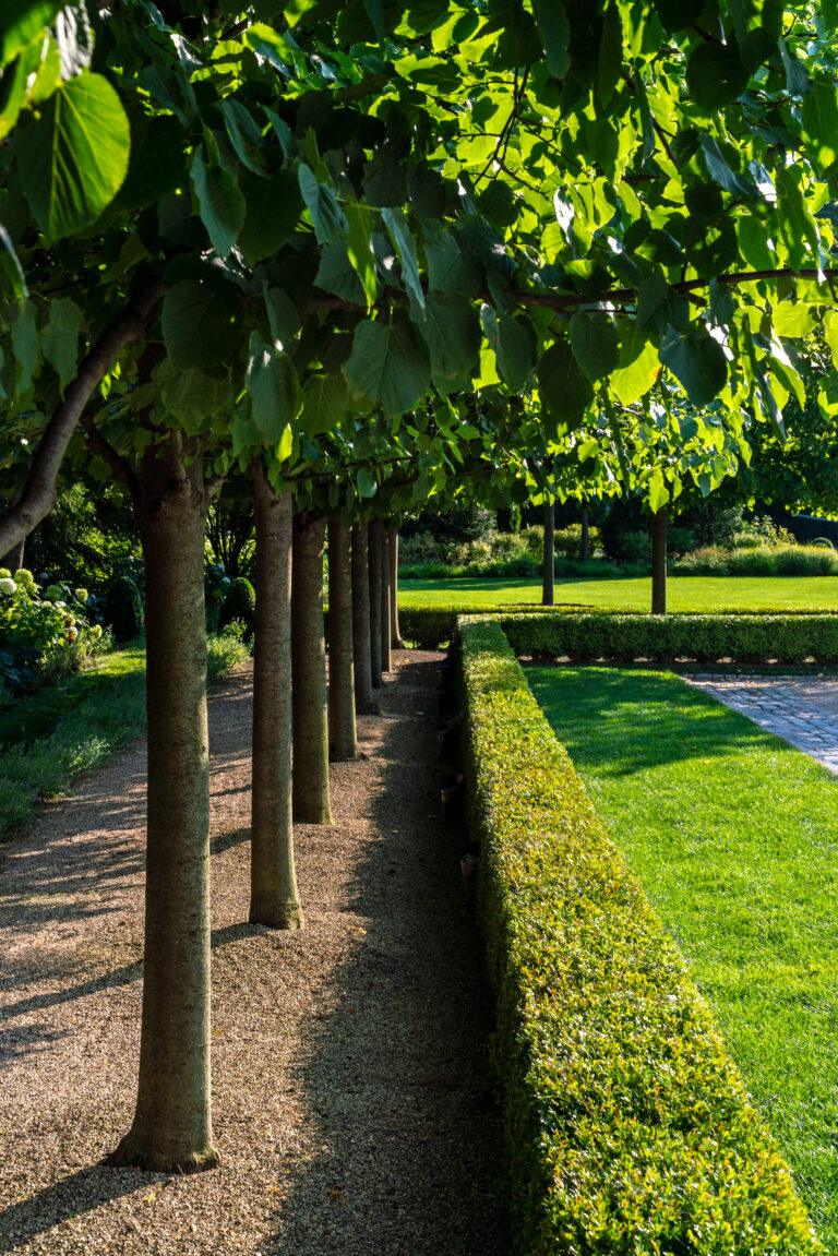 A row of trees casts shadows over a gravel path, bordered by a meticulously maintained hedge on one side and a grassy lawn on the other, showcasing impeccable landscape maintenance for large venues in this sunlit garden.