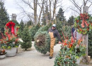 A person in brown overalls carries a cut Christmas tree at an outdoor tree lot decorated with wreaths and holiday arrangements.