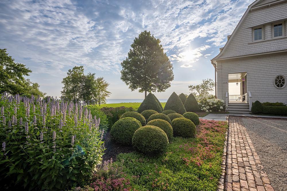 Formal front garden with rounded boxwood shrubs, blooming purple flowers, and a white shingle house beside a waterfront view in soft evening light.